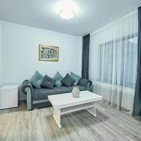 Sorica & Cazacu Apartments By Pensiunea Noni Boutique Azuga Exterior photo